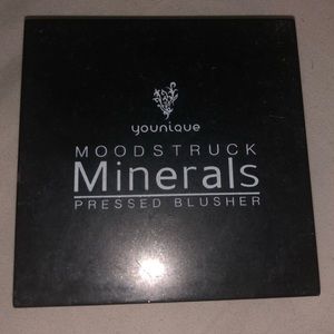 USED Moodstruck Minerals Blusher